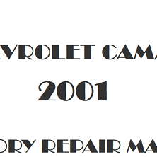 2001 Chevrolet Camaro repair manual Image