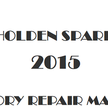 2015 Holden Spark repair manual Image