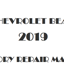 2019 Chevrolet Beat repair manual Image