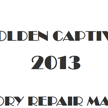 2013 Holden Captiva repair manual Image