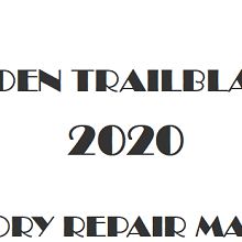 2020 Holden Trailblazer repair manual Image