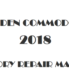 2018 Holden Commodore repair manual Image