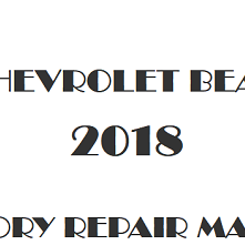 2018 Chevrolet Beat repair manual Image