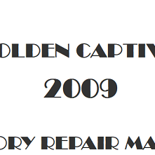 2009 Holden Captiva repair manual Image