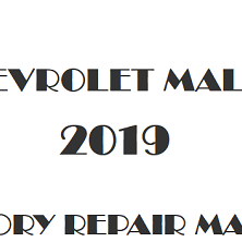 2019 Chevrolet Malibu repair manual Image