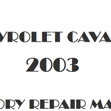 2003 Chevrolet Cavalier repair manual Image