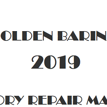 2019 Holden Barina repair manual Image