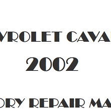 2002 Chevrolet Cavalier repair manual Image