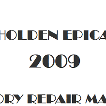 2009 Holden Epica repair manual Image