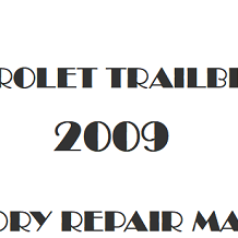 2009 Chevrolet TrailBlazer repair manual Image