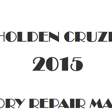 2015 Holden Cruze repair manual Image