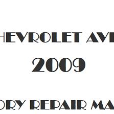 2009 Chevrolet Aveo repair manual Image