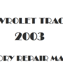 2003 Chevrolet Tracker repair manual Image