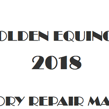 2018 Holden Equinox repair manual Image