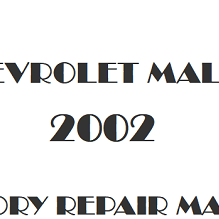 2002 Chevrolet Malibu repair manual Image