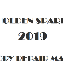 2019 Holden Spark repair manual Image