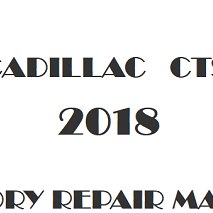 2018 Cadillac CTS repair manual Image