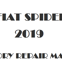 2019 Fiat Spider repair manual Image