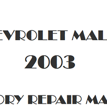 2003 Chevrolet Malibu repair manual Image