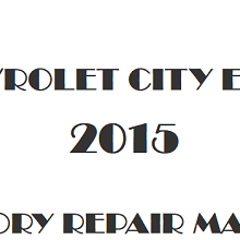 2015 Chevrolet City Express repair manual Image