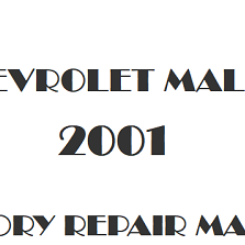 2001 Chevrolet Malibu repair manual Image