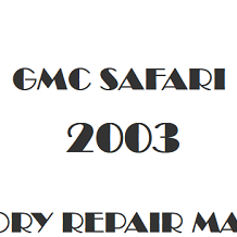 2003 GMC Safari repair manual Image