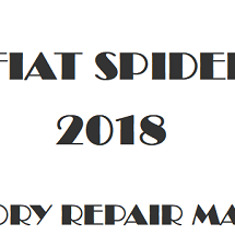2018 Fiat Spider repair manual Image