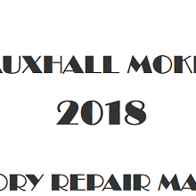 2018 Vauxhall Mokka repair manual Image