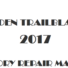 2017 Holden Trailblazer repair manual Image