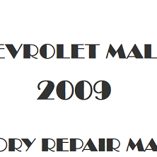 2009 Chevrolet Malibu repair manual Image