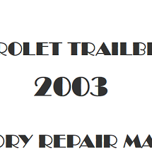 2003 Chevrolet TrailBlazer repair manual Image