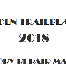 2018 Holden Trailblazer repair manual Image