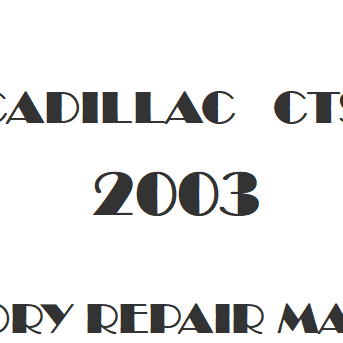 2003 Cadillac CTS repair manual Image