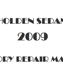 2009 Holden Sedan repair manual Image