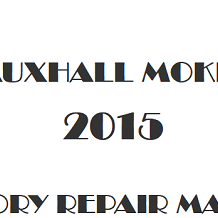 2015 Vauxhall Mokka repair manual Image