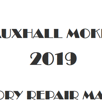 2019 Vauxhall Mokka repair manual Image