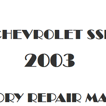 2003 Chevrolet SSR repair manual Image