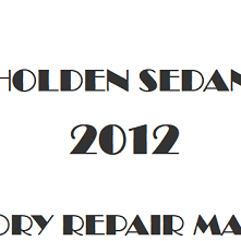 2012 Holden Sedan repair manual Image
