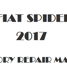 2017 Fiat Spider repair manual Image