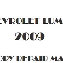 2009 Chevrolet Lumina repair manual Image