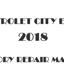 2018 Chevrolet City Express repair manual Image