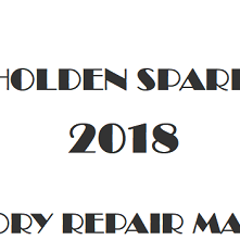 2018 Holden Spark repair manual Image