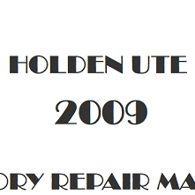 2009 Holden Ute repair manual Image