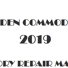 2019 Holden Commodore repair manual Image